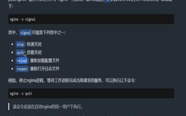 docker部署nginx项目