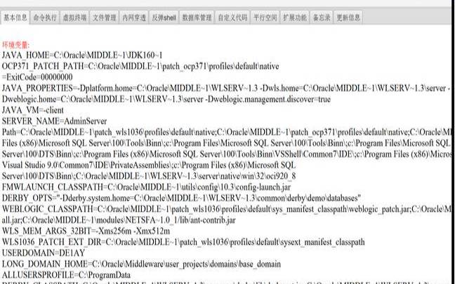 渗透测试软件有多强大（渗透测试是软件测试吗）