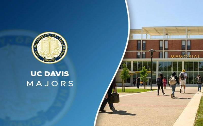 戴维斯有哪些数据中心（戴维斯有哪些数据中心）