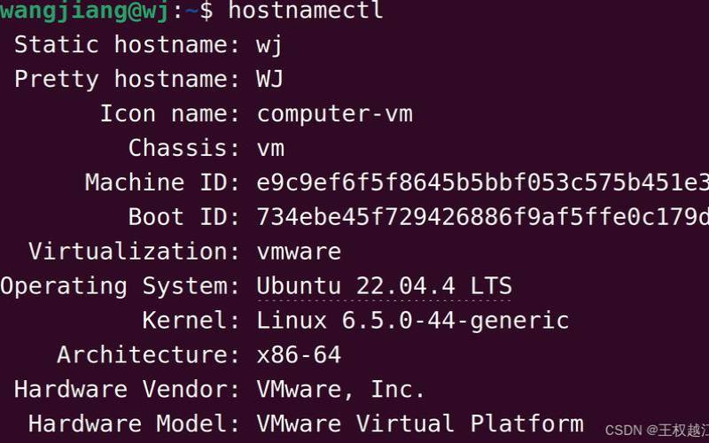 linuxlsb是什么（linux中lsblk是什么意思）