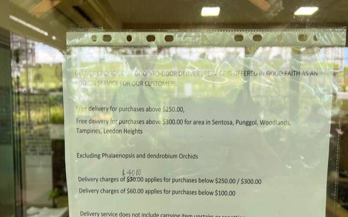 5款新加坡CN2GIAVPS推荐延迟超低/速度快,新加坡netspay 5款新加坡CN2GIAVPS推荐延迟超低/速度快,新加坡netspay