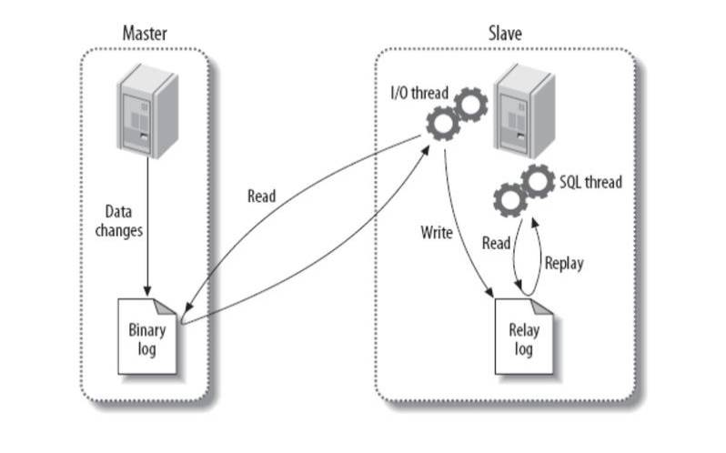 mysql8双主双从搭建（mysql双主功能）