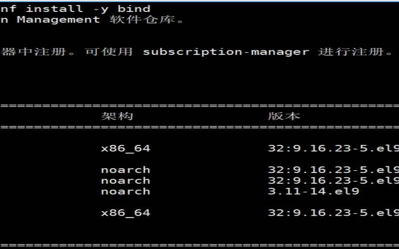 Linux和Windows的DNS服务器故障排除,linux服务器dns配置安装 Linux和Windows的DNS服务器故障排除,linux服务器dns配置安装