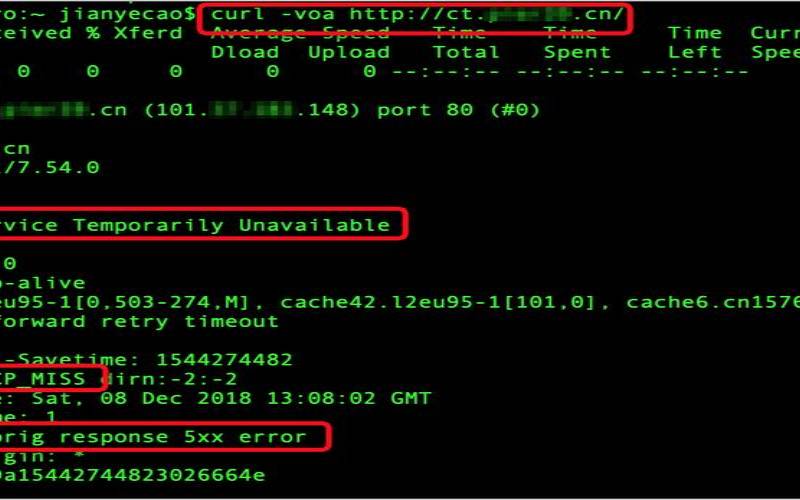 HTTP错误503的解决方法（http错误500怎么解决）