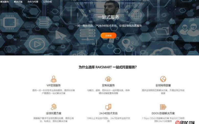 RAKsmartE3-1230独服$30秒杀（258IP站群服务器月付$117起）