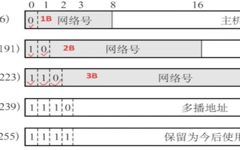 日本多IP服务器的IP地址是如何分配的（日本服务器地址ip密码）