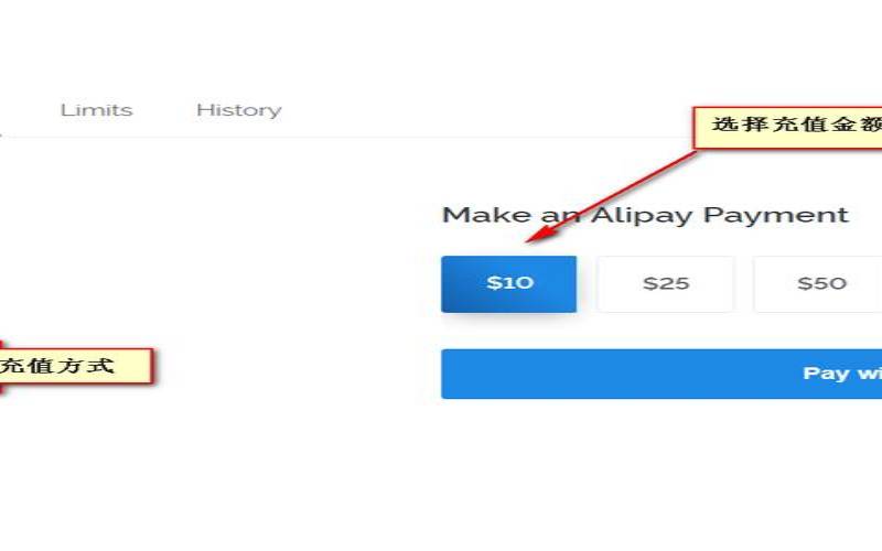 好消息Vultr将支持支付宝付款（vultr怎么用支付宝）