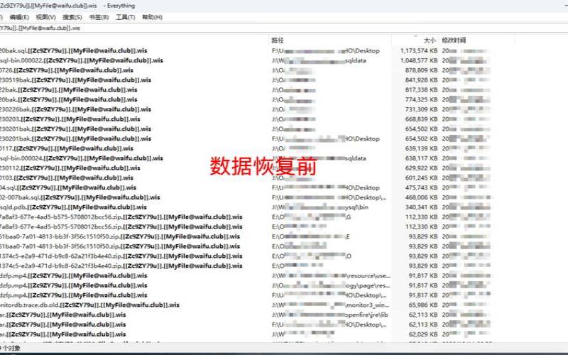 梦飞云带你了解勒索软件（勒索软件的真实案例）