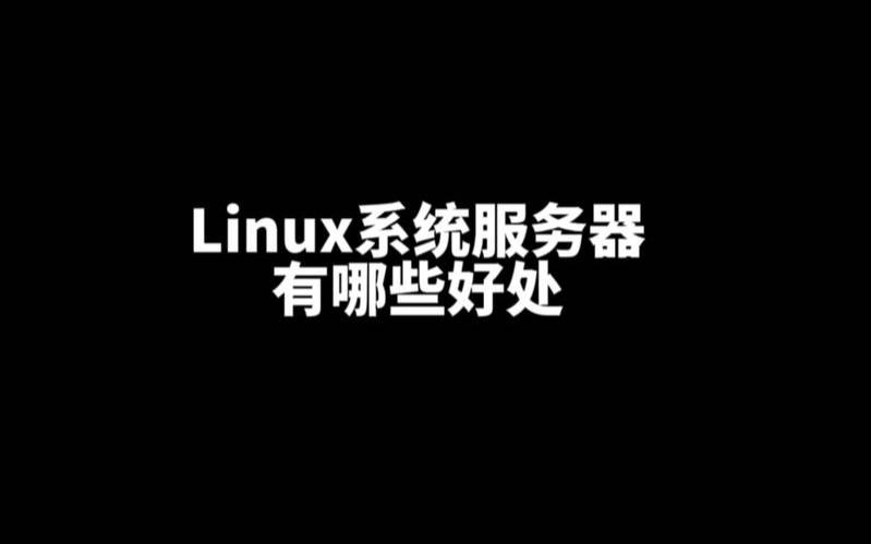 服务器使用Linux系统的优势（服务器用linux的好处）