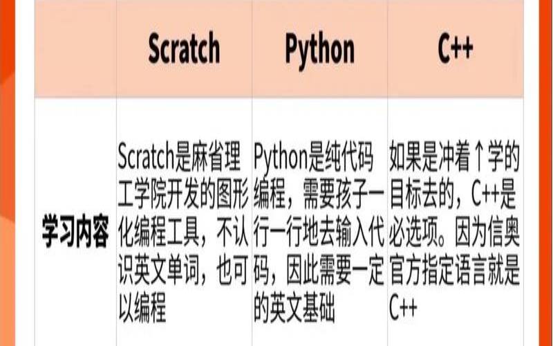 什么是编程（什么是编程举个例子）