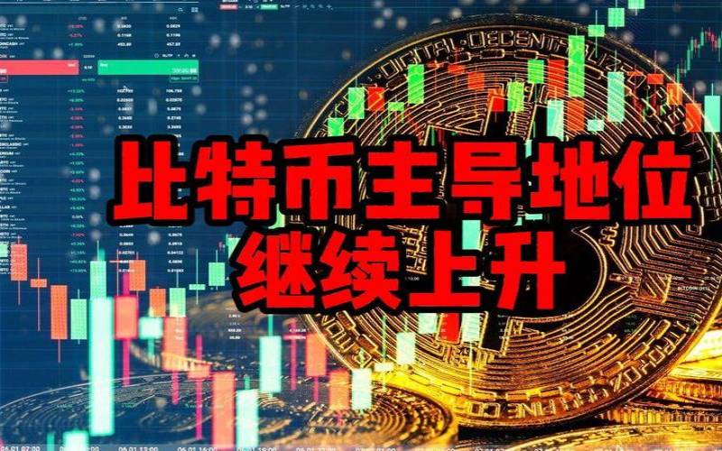什么是比特币主导地位,比特币的交易主导地位 什么是比特币主导地位,比特币的交易主导地位