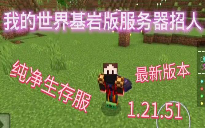 如何从您的Minecraft游戏服务器赚钱,我的世界服务器赚钱方法 如何从您的Minecraft游戏服务器赚钱,我的世界服务器赚钱方法