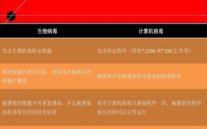 什么是计算机病毒,计算机病毒名词解释 什么是计算机病毒,计算机病毒名词解释