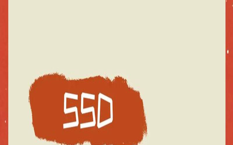 SSD与HDD托管,有关它们的完整详细信息 SSD与HDD托管,有关它们的完整详细信息