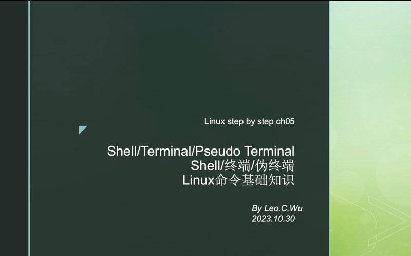linux伪终端开发