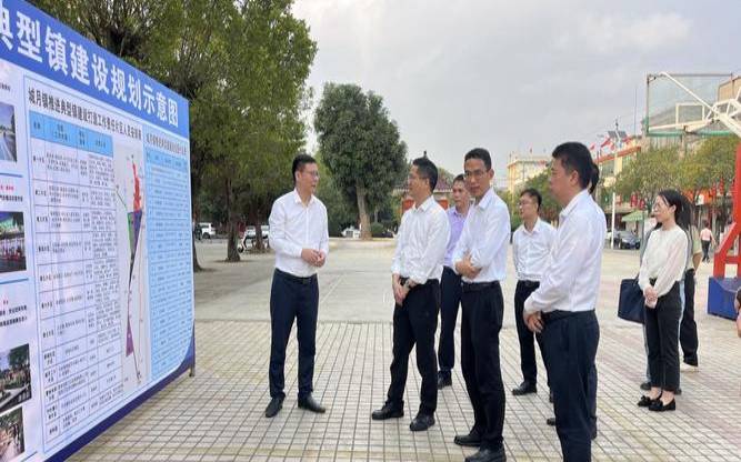 2021遂溪县政府网官网新闻,遂溪新闻网最新消息 2021遂溪县政府网官网新闻,遂溪新闻网最新消息