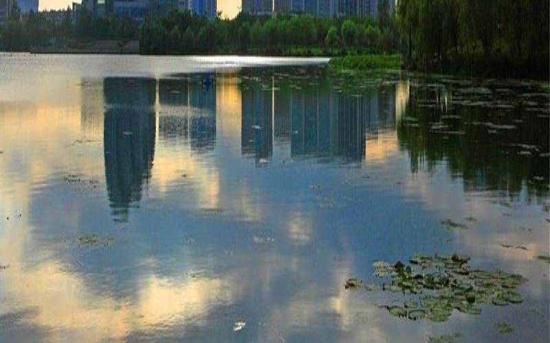 盐都网是什么,盐城盐都网站 盐都网是什么,盐城盐都网站
