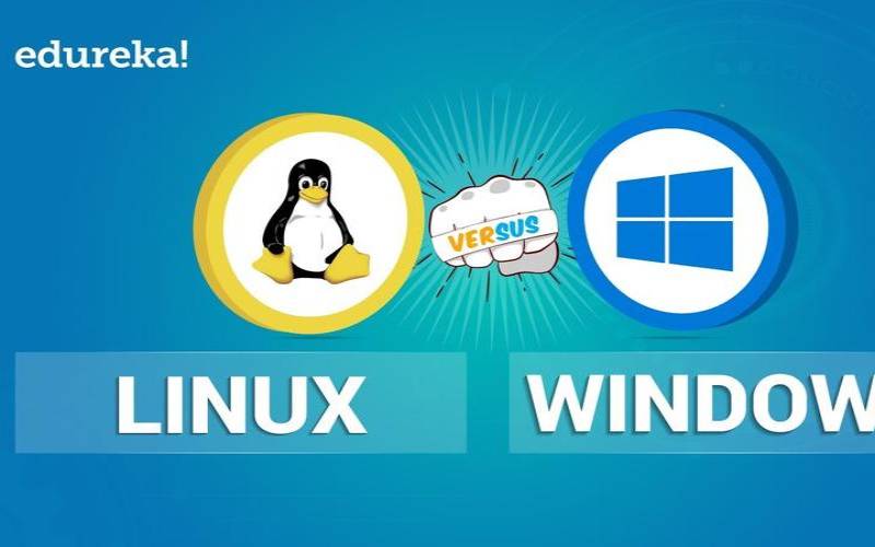VCCLHosting印度VPS推荐,印度cheapwindowsvps VCCLHosting印度VPS推荐,印度cheapwindowsvps