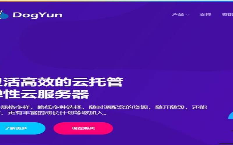 DogYun双11促销：限量65折（移动不限量促销可以续吗）