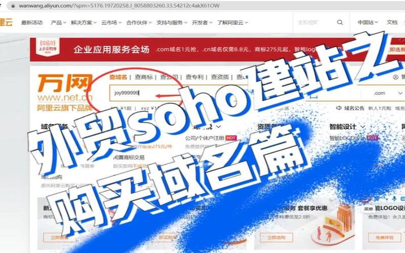国外域名可以如何购买（国外域名注册商购买老域名）