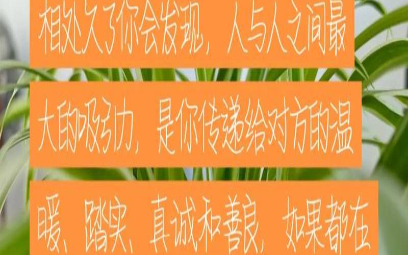 人与人之间的友情链有多重要（人与人之间的友情感悟）
