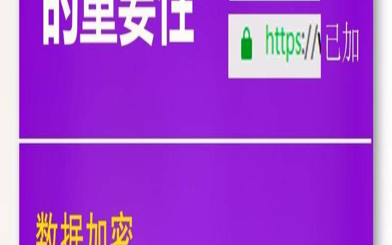 网站ssl证书的类型有哪些（网站ssl证书查询）