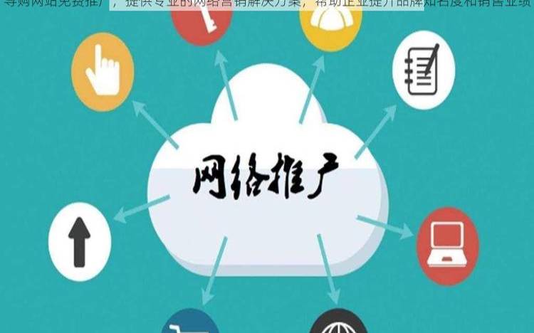 导购网站免费推广是什么（导购推广是什么意思）