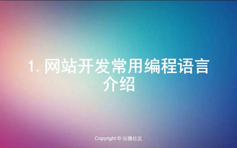 网站开发语言是什么（网站开发用的是什么语言）