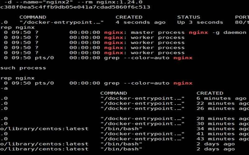 构建安全的Linux容器映像仓库,dockerhub镜像排行 构建安全的Linux容器映像仓库,dockerhub镜像排行