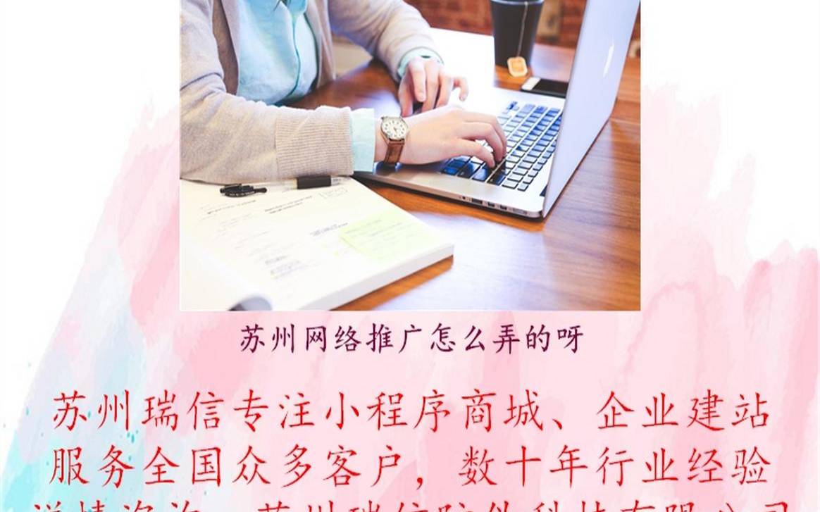 苏州网站推广,苏州专业网站seo推广 苏州网站推广,苏州专业网站seo推广