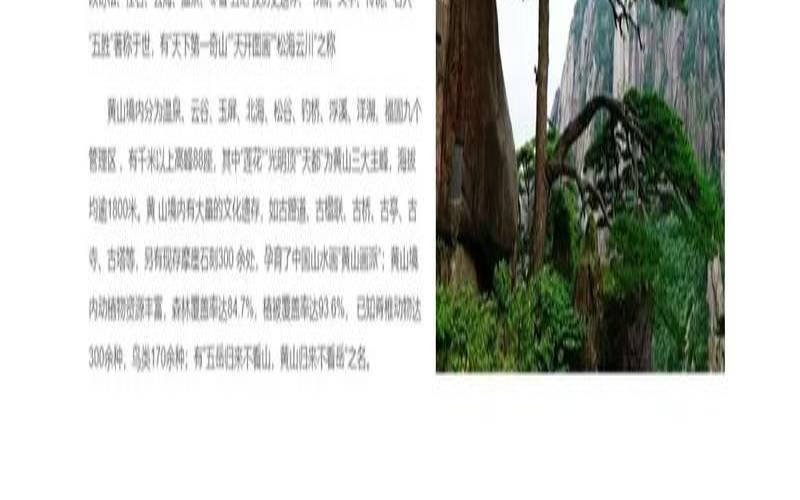 如何高效制作网站首页,制作网站首页的步骤 如何高效制作网站首页,制作网站首页的步骤