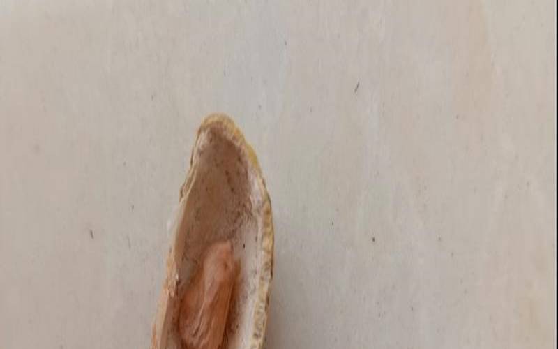 花生壳客户端适用于哪些网络环境,花生壳客户端不在线 花生壳客户端适用于哪些网络环境,花生壳客户端不在线