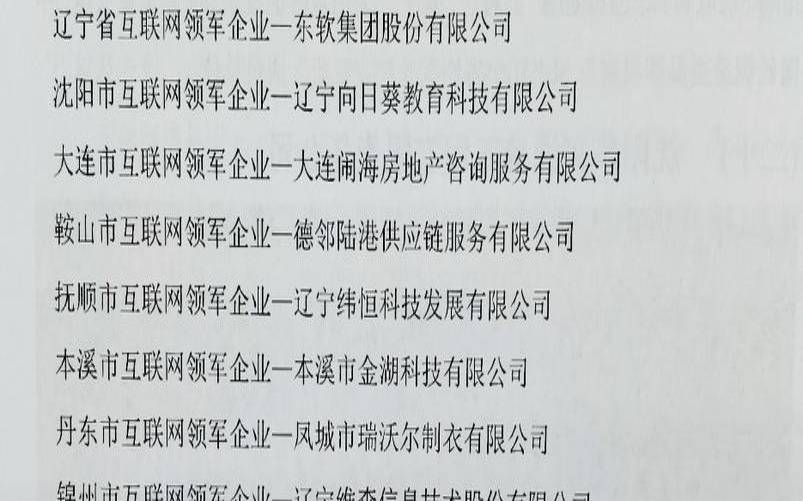 大连网络公司企业,大连比较好的互联网公司 大连网络公司企业,大连比较好的互联网公司